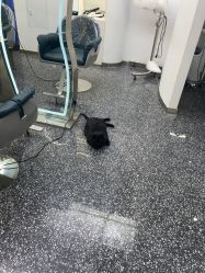 -港美国际