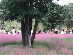 -牛岗山公园
