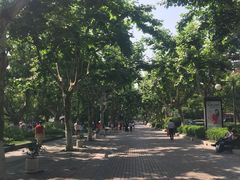 -十八棵（老龙井）御茶园(老龙井店)