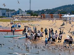 -海驴岛(荣成市)