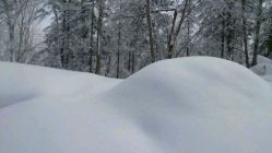 -大秃顶子山