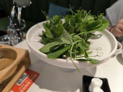 -烹然四季椰子鸡火锅(姚家园万象汇店)