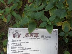 -广州神农草堂中医药博物馆