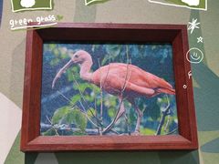 -ZOO COFFEE动物园咖啡(红山森林动物园店)