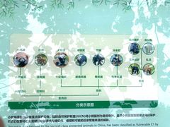 -都江堰中华大熊猫苑