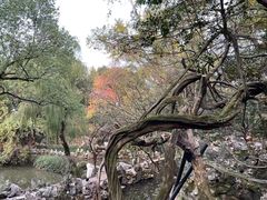 -绮园景区