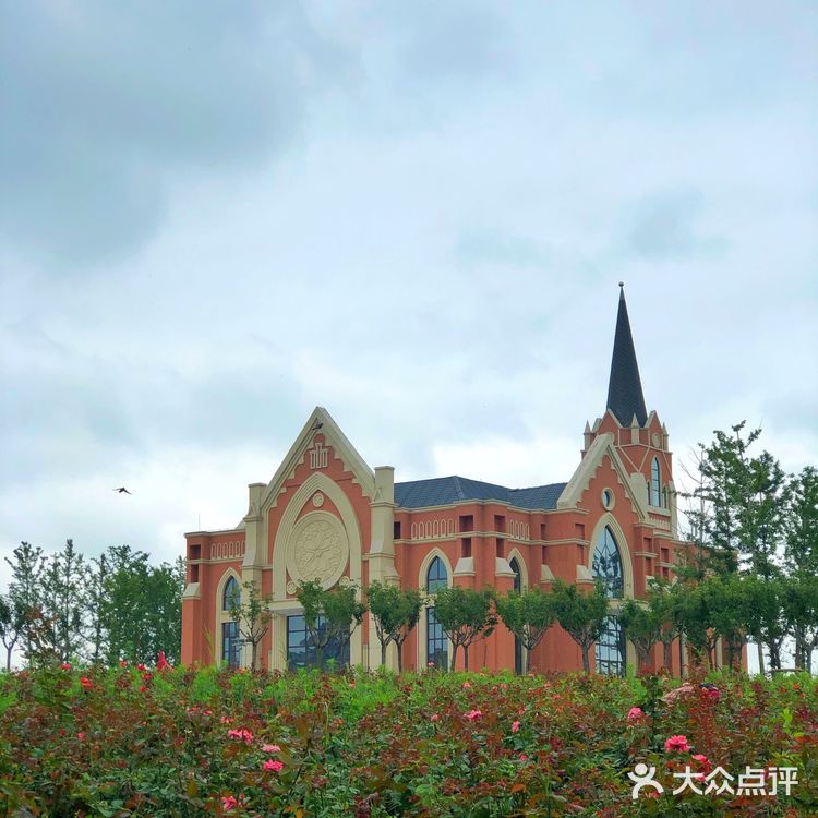 醉美聊城—九州洼月季公园