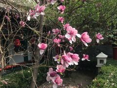 -晋阳饭庄(虎坊桥店)