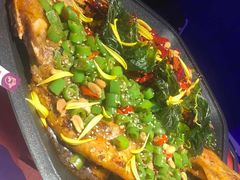 -马邦子·紫苏烤鱼(恒隆广场店)