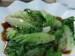 -东鸽皇(奥园·中环广场店)