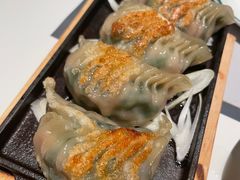 铁板羊肉饺子-新兴·金羊座·粤菜点心(乐峰店)