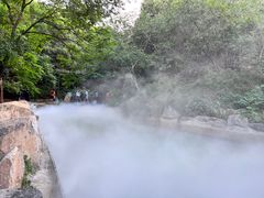 -北京西山国家森林公园