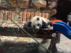 -石家庄市动物园