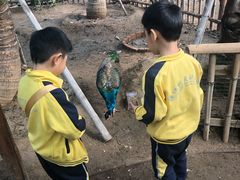 -北京市海淀区锦绣明天莲宝幼儿园