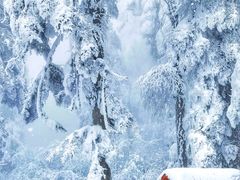 -瓦屋山景区