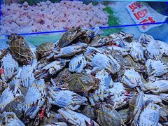 -聚盛源蒸汽海鲜火锅烤肉自助(巨川金海岸购物广场店)