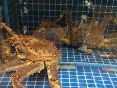 -骏莱海鲜鱼港(五角场店)
