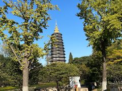 -红梅公园