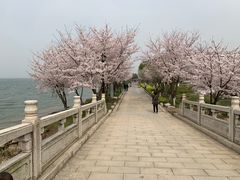 -苏州独墅湖世尊酒店