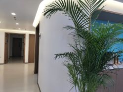 -丰联丽格医疗美容·联合丽格眼整形中心