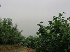 -青瓦房古村落