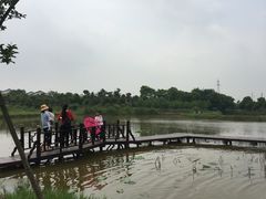 -武汉紫薇都市田园