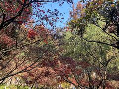 -岳麓山风景名胜区