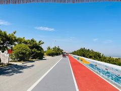 -日照海滨国家森林公园