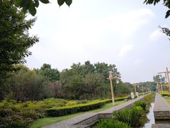 -洛阳市隋唐城遗址植物园