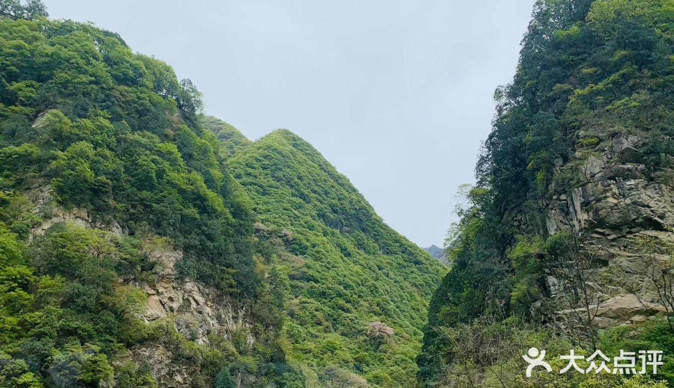 感受一下大自然的氣息好山好水好風景