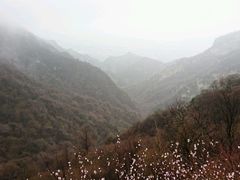 -少华山国家森林公园