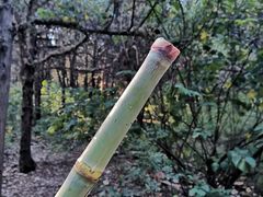 -青州市云门山风景区