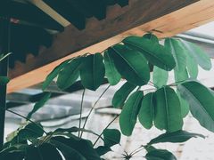 -VOYAGE COFFEE(北锣鼓巷店)