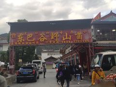 -东巴谷野生菌火锅餐厅