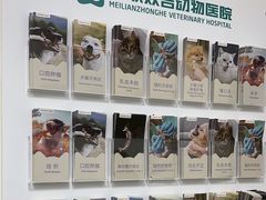 -美联众合动物医院·24h转诊中心