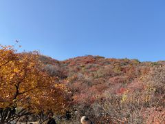 -周口店坡峰岭风景区