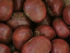 -粒上皇(崇文门店)