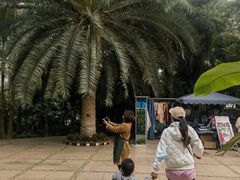 -石家庄市植物园