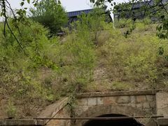 -白水寺森林公园