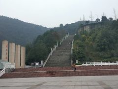 -铁山坪森林公园