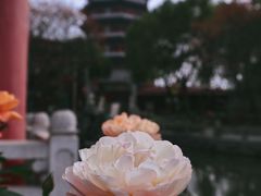 -皇罗禅寺