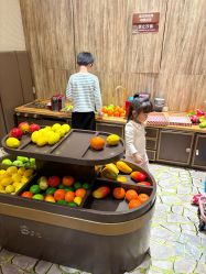 -卡通尼·Safari非洲探索乐园·生日会(金桥国际商业广场店)