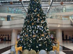 -广州白云机场雅高铂尔曼大酒店