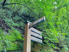 -洛阳白云山景区