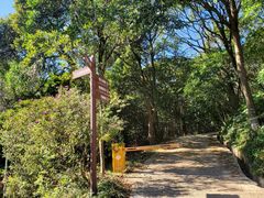 -梧桐山风景名胜区