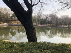 -团结湖公园