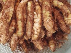 -东寨港红树林旅游区