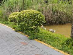 -深圳大学(丽湖校区)