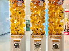 -元气寿司(金光华店)