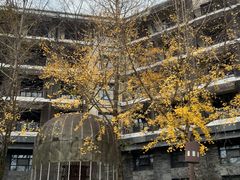 -三江森林温泉度假区